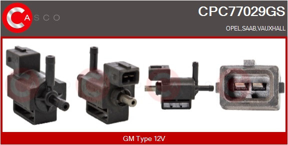 CPC77029GS
