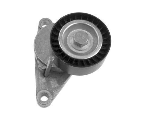 V85565COT