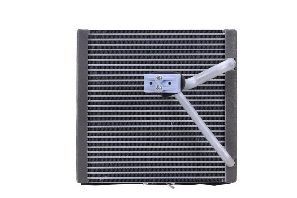 WEV00066