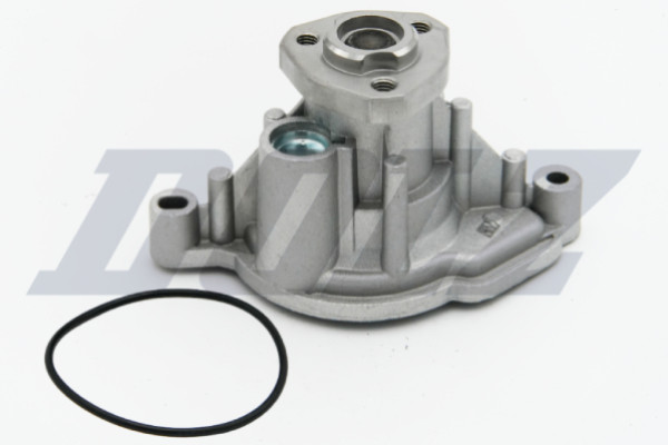 A219 DOLZ