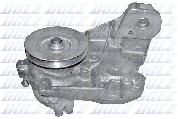 S164 DOLZ