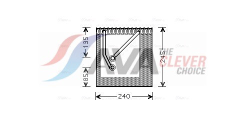 VNV242