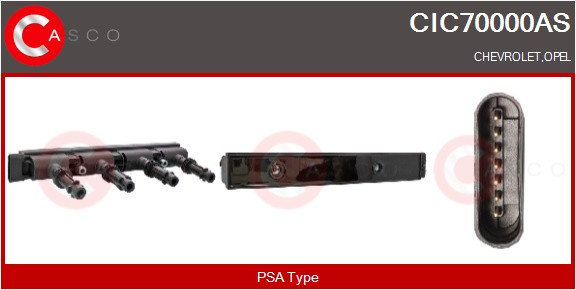 CIC70000AS