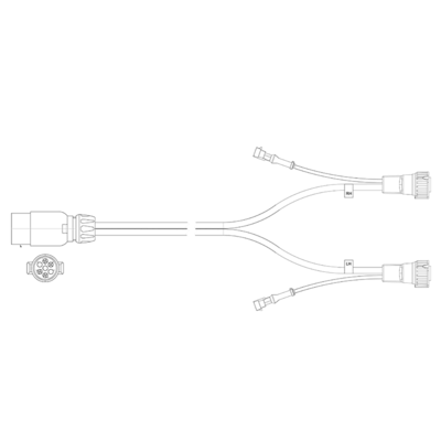 296070605