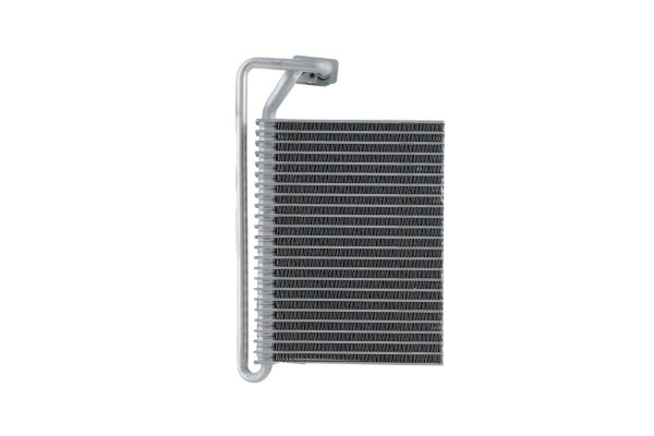 WEV00022