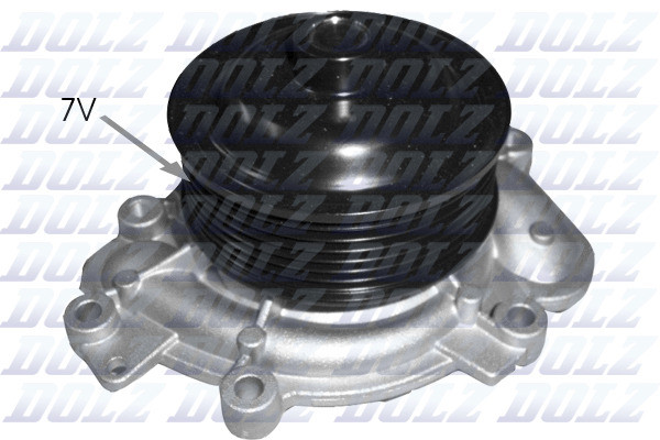 M231 DOLZ