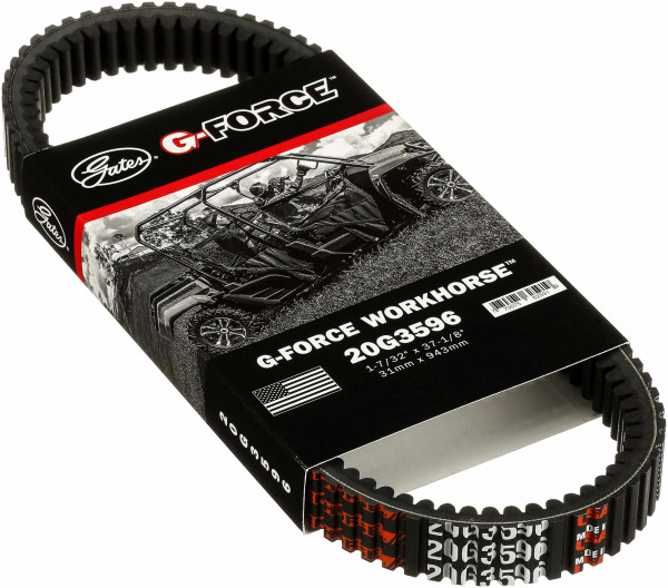 20G3596