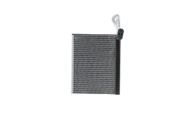 WEV00084