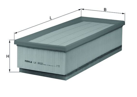 LX 2022 KNECHT