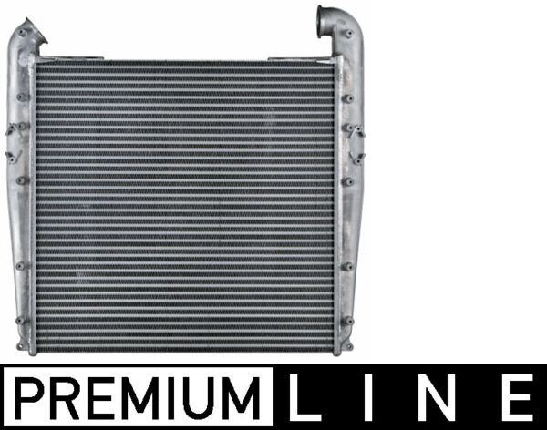 CI 100 000P