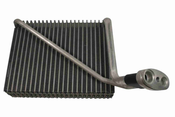 V10-65-0016