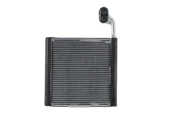 WEV00134