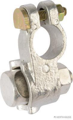 1000095081