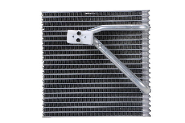 WEV00099