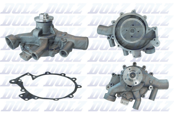 D319 DOLZ