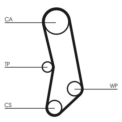 CT503WP1COT