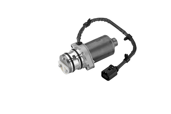 DS119866 BORGWARNER