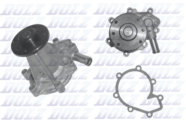 S246 DOLZ