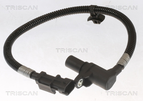 8855 18113 TRISCAN