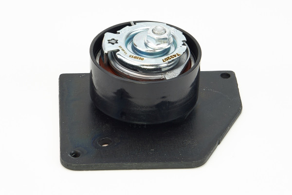 V55629COT