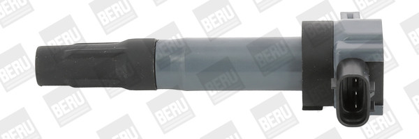 ZSE189