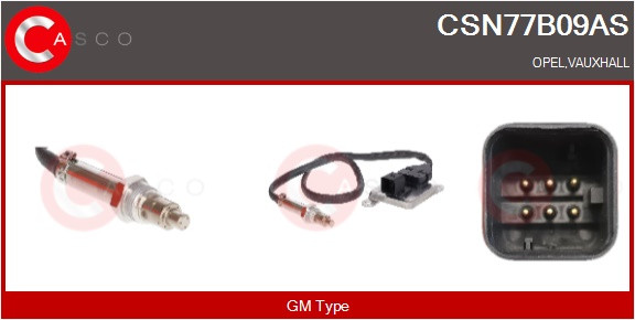 CSN77B09AS