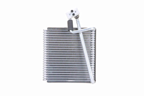 WEV00121