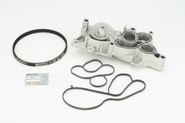 CT1169WP2COT