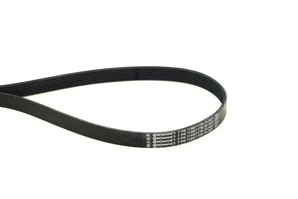 7PK1195ELASTCOT