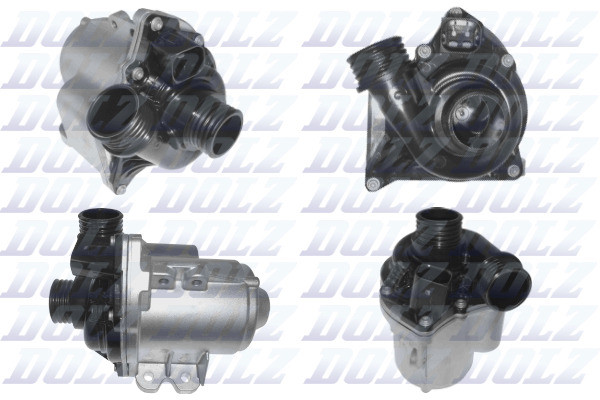 B241 DOLZ