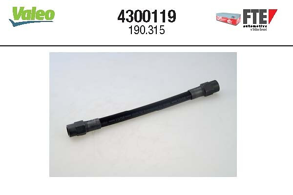 4300119 FTE