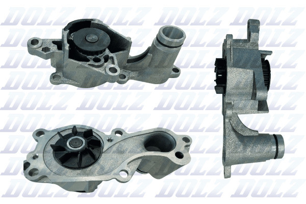 F242 DOLZ