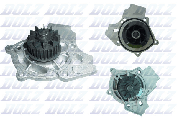 A221 DOLZ
