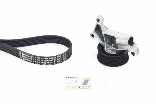 6PK1019ELASTK1COT