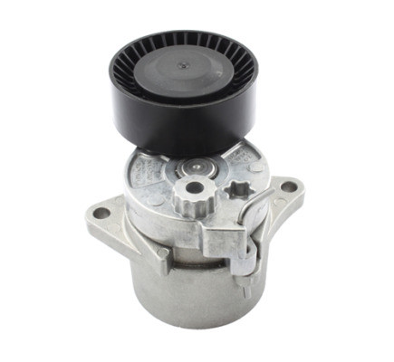 V85575COT