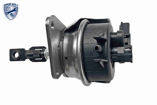 V10-40-0005