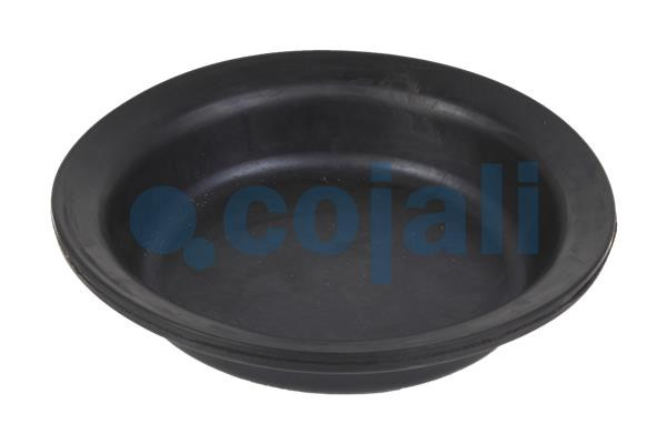 6001123 COJALI