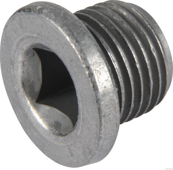 50240017