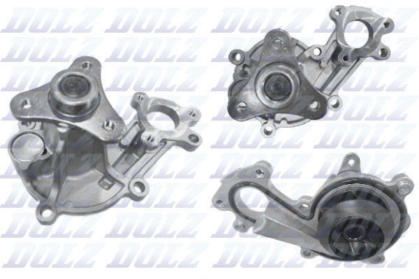 B259 DOLZ