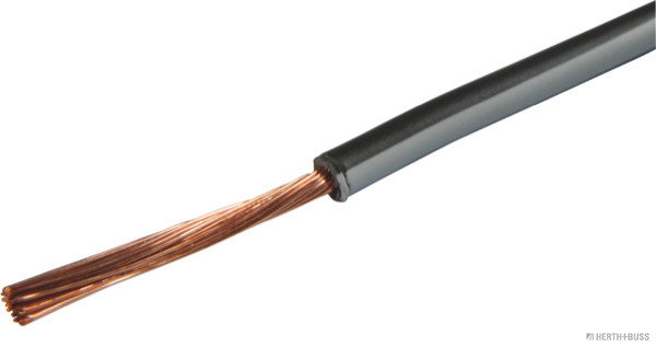 1000092690
