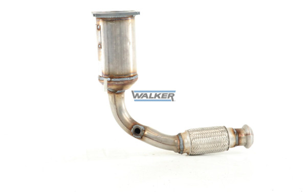 28697 WALKER