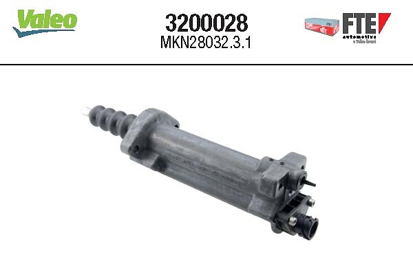 3200028 FTE