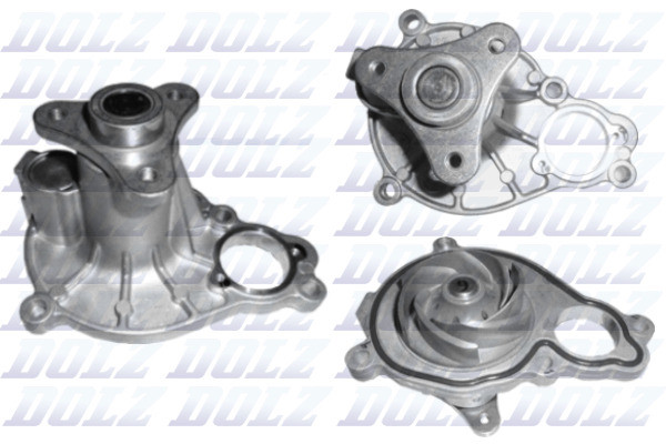 B255 DOLZ