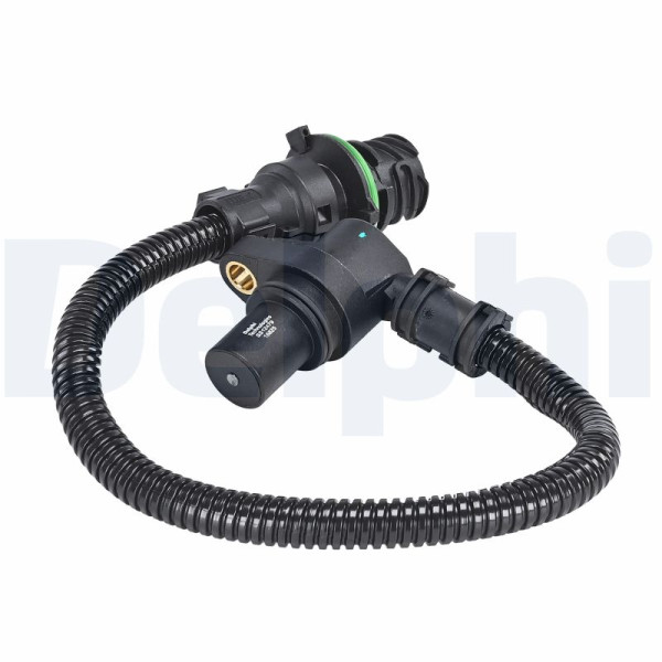 SS12479-12B1