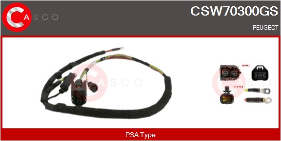 CSW70300GS