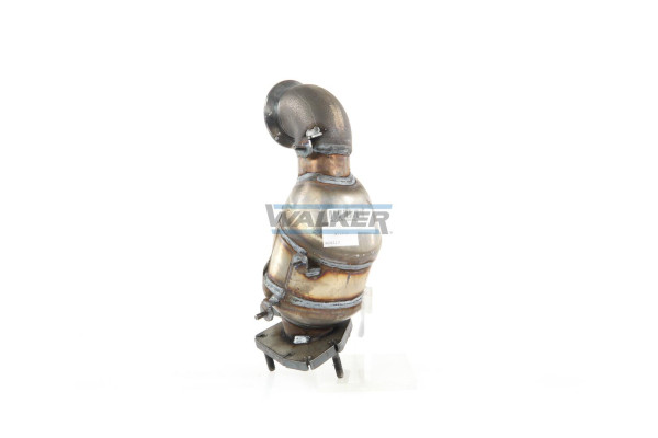 28219 WALKER