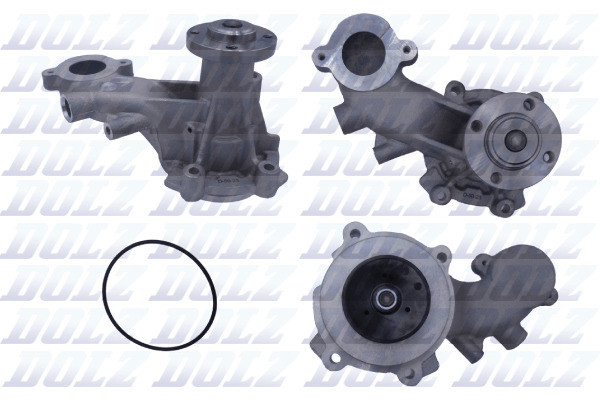 F258 DOLZ