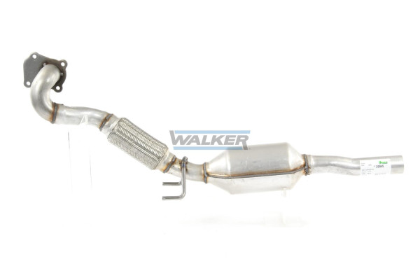 20945 WALKER