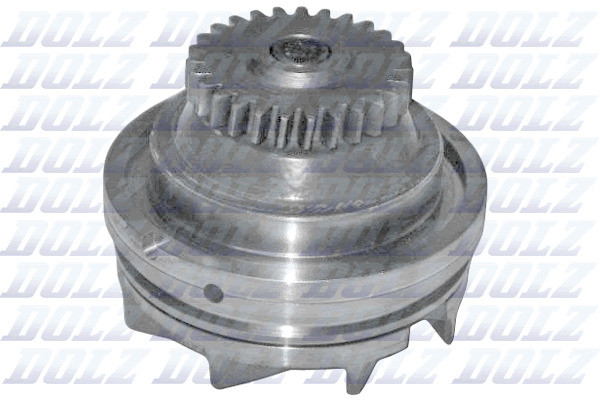 B184 DOLZ