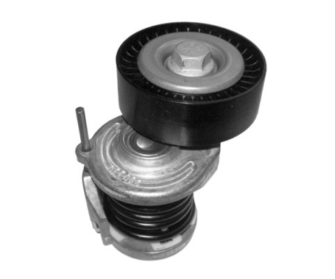 V85576COT
